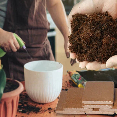 Compressed Nutrient Soil(BUY 3 GET 2 FREE)